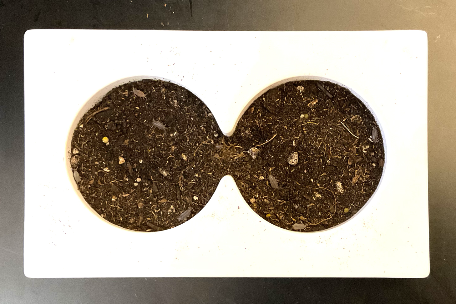 Tollens silver mirror demo preview